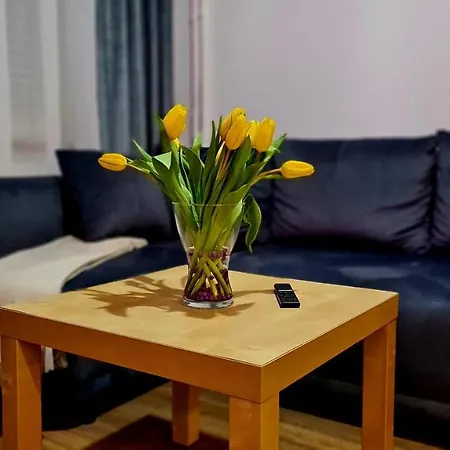 Apartament Boho Apartment *